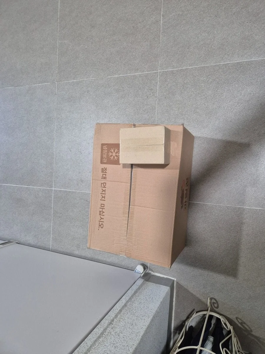 본문 이미지 2