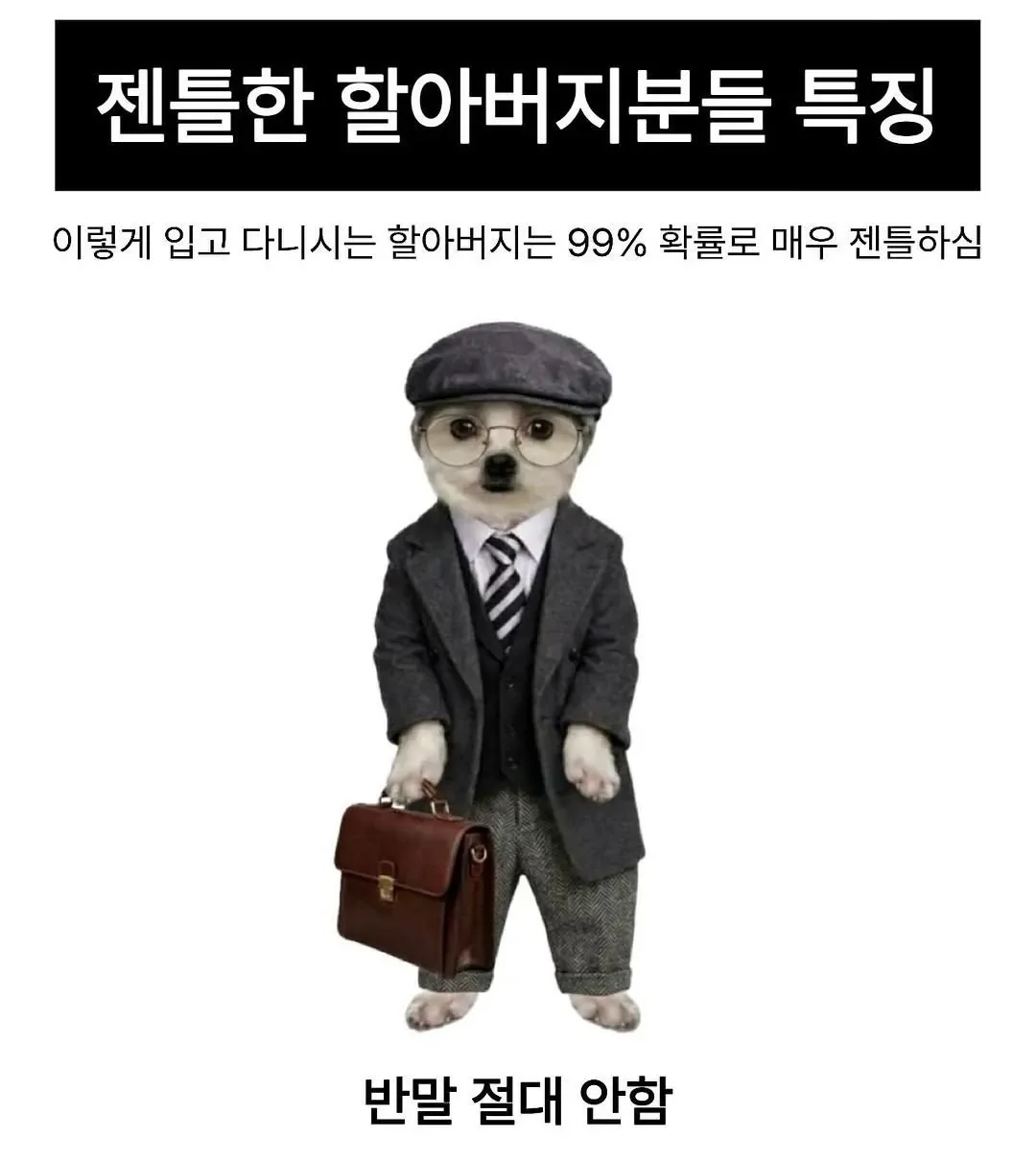 본문 이미지 5