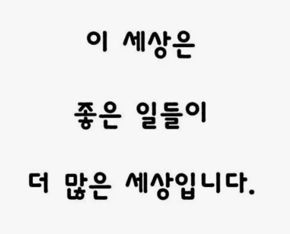 본문 이미지 2