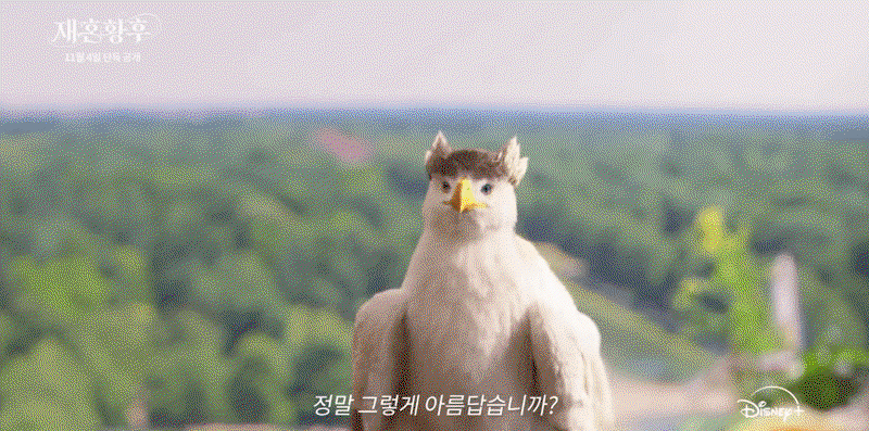 본문 이미지 4