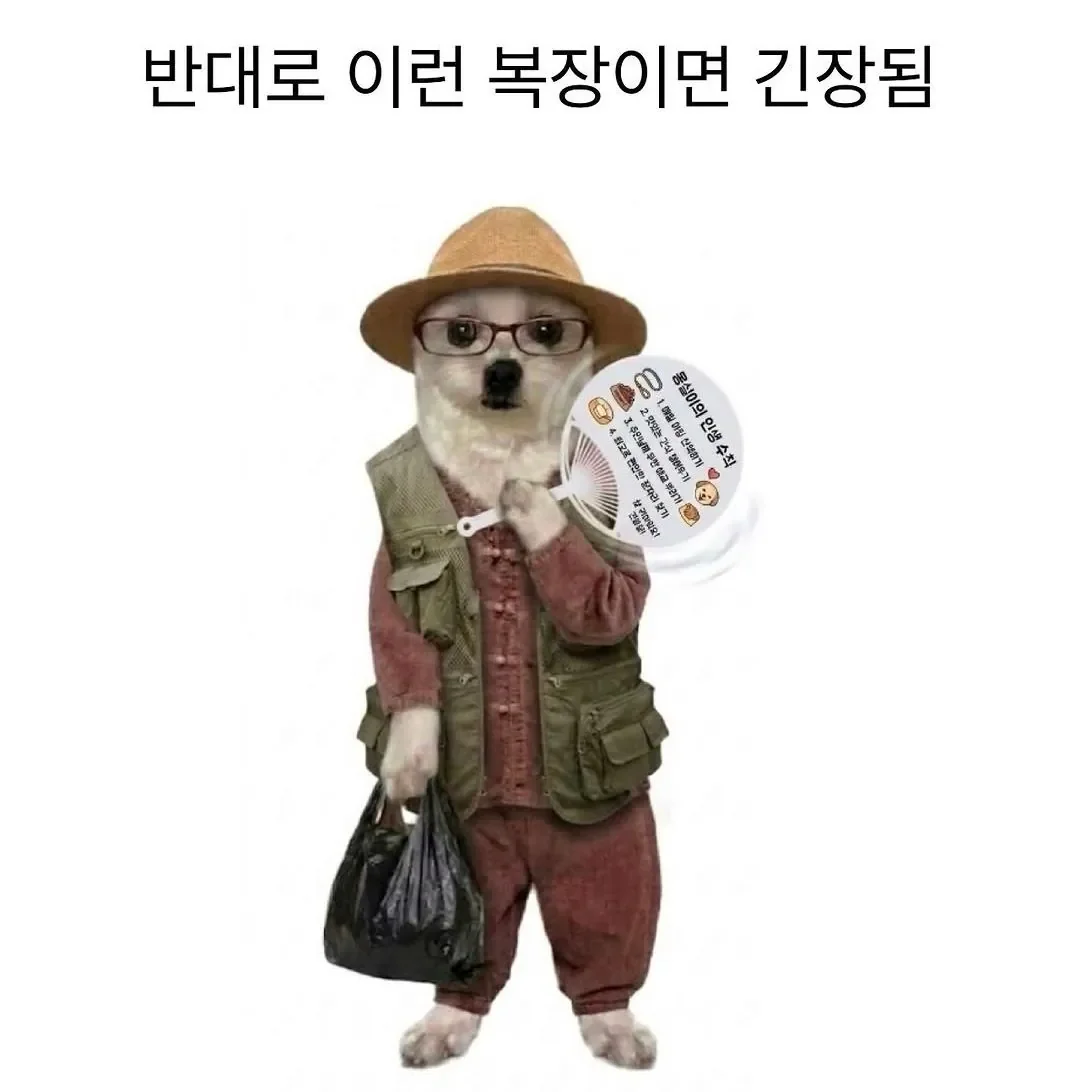 본문 이미지 6